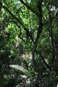 Soberanía NP